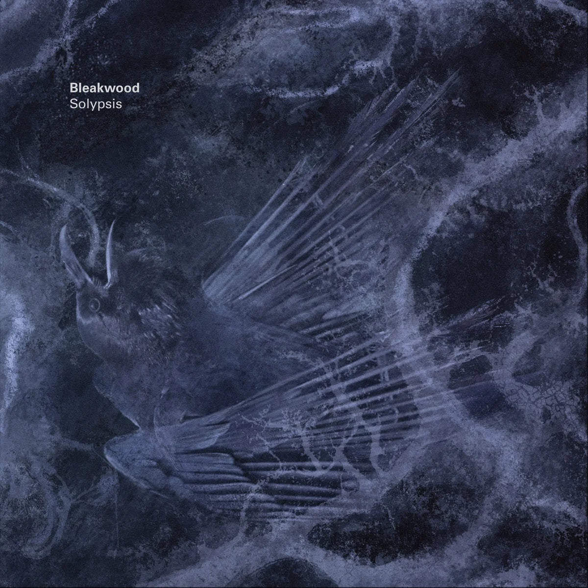 Bleakwood - Solypsis 12" Black Vinyl