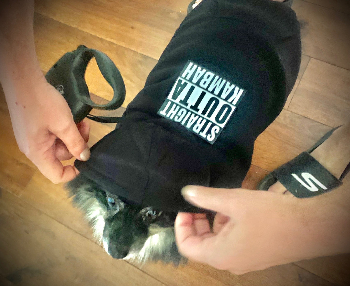 !       Presale - Navy Blue Straight Outta kambah Dog Hoody - Delivery end of February.