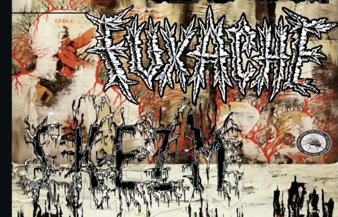 Fuxache / Skezm split 7” 2026